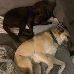 Meet your Posher, Catherine